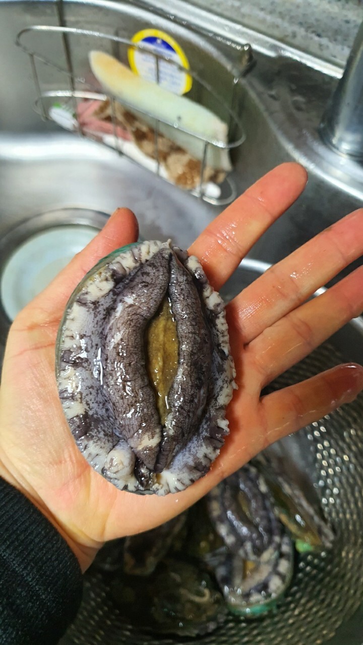 세트 1kg [13~15미] 최저가 쇼핑 정보 - 에누리가격비교 완도청정수산 완도 참전복 세트 1kg [13~15미] < 전복,조개 < 수산물 [에누리 가격비교]