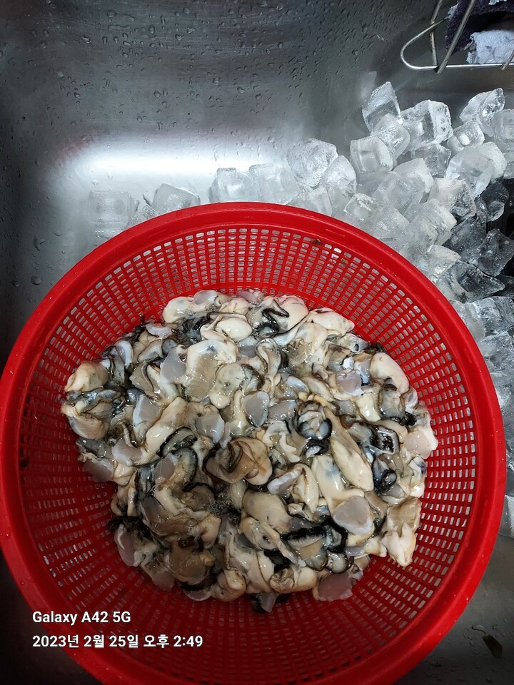 바다수산 직접키워더믿을수있는싱싱통영 냉동굴1kg 가열조리용 - 에누리 가격비교