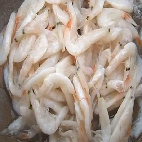 강경종가집젓갈백화점 새우젓 육젓 500g (1개) : 다나와 가격비교 [다나와] 강경종가집젓갈백화점 새우젓 육젓 500g (1개)