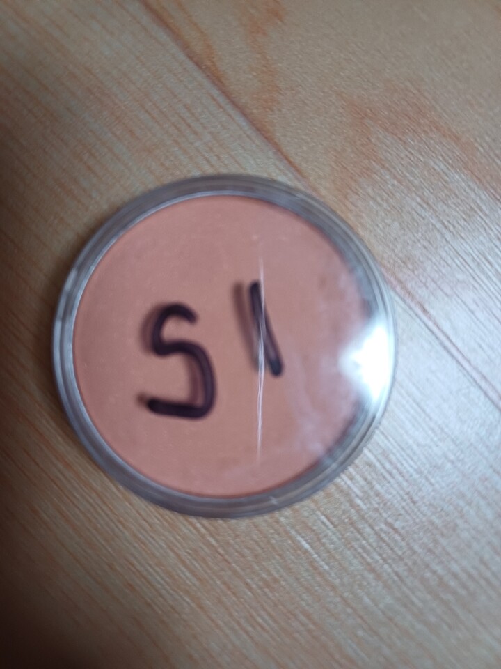 Sergo Cushion Eyeshadow 3g