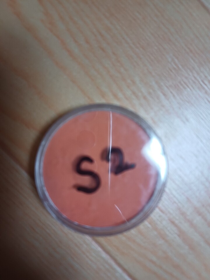Sergo Cushion Eyeshadow 3g