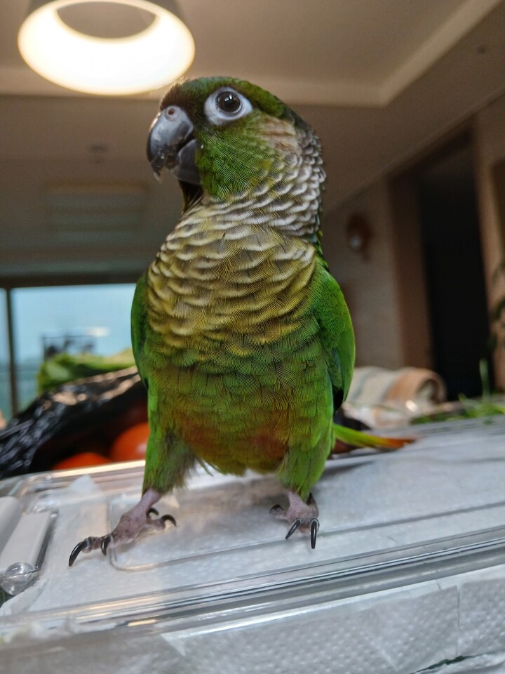 상품후기 썸네일 이미지