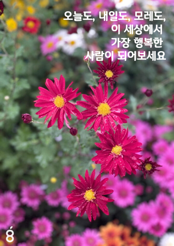 제휴상품평 포토리뷰 이미지