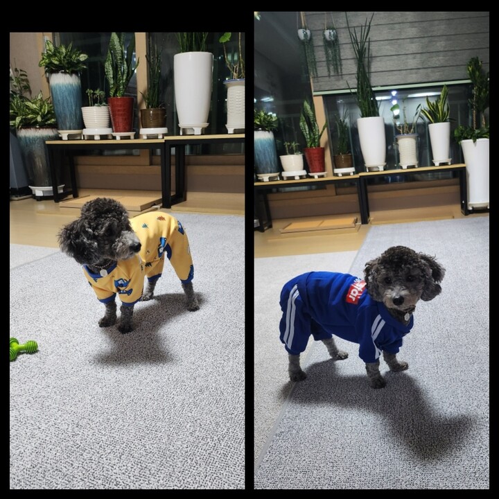 상품후기 썸네일 이미지