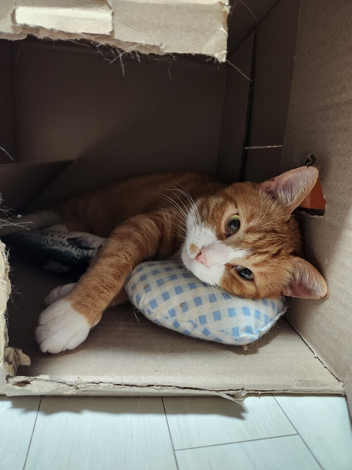 상품후기 썸네일 이미지