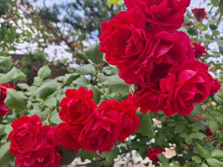 상품후기 썸네일 이미지