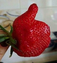 제휴상품평 포토리뷰 이미지