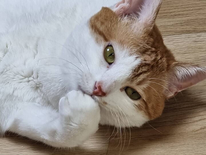 상품후기 썸네일 이미지