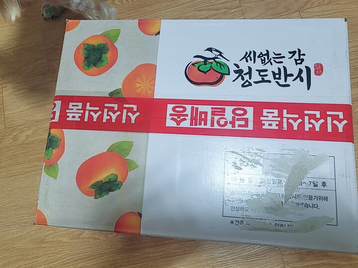 상품후기 썸네일 이미지