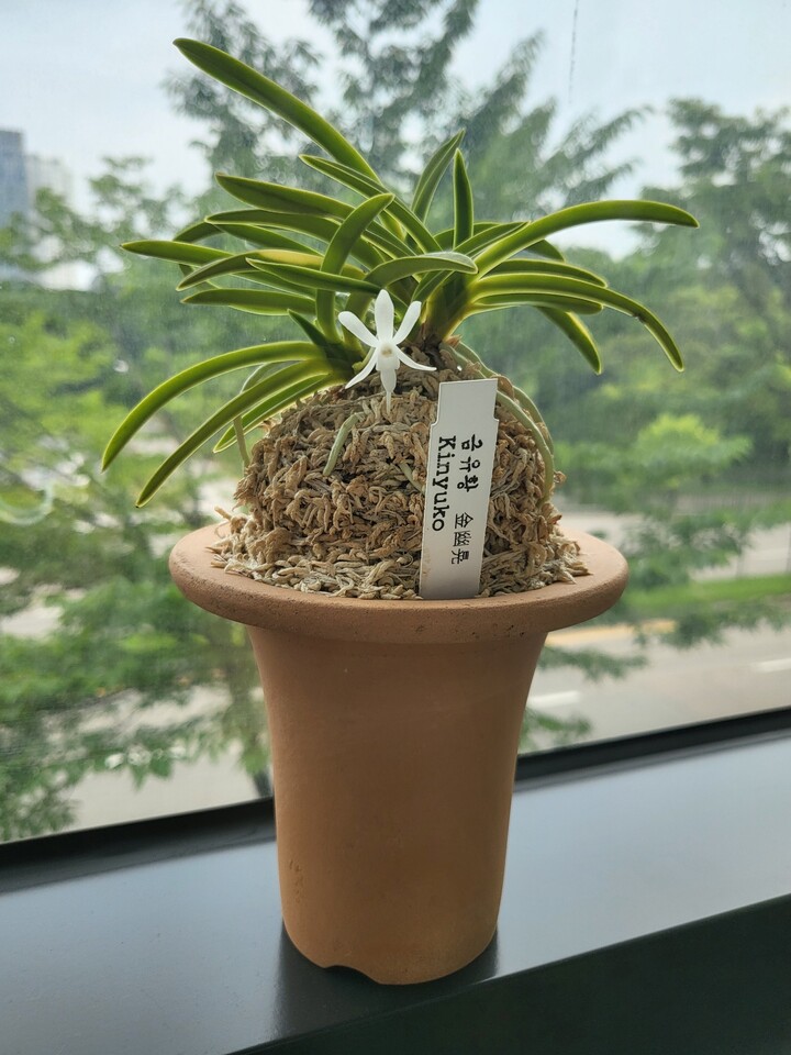 제휴상품평 포토리뷰 이미지