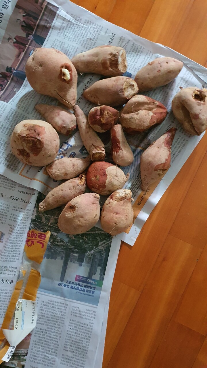 상품후기 썸네일 이미지