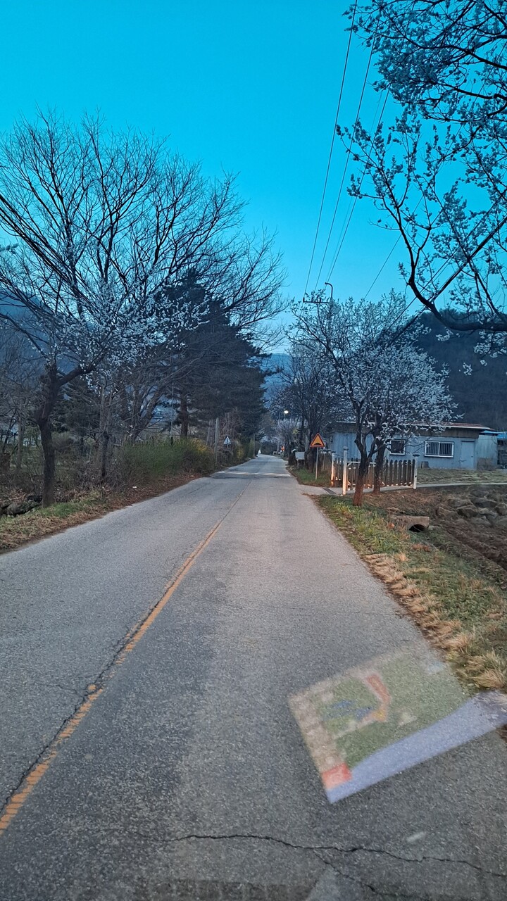 제휴상품평 포토리뷰 더보기