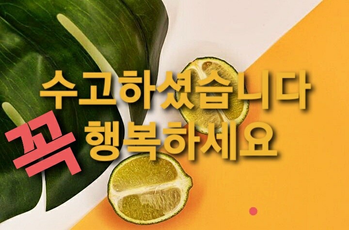 대명산업 쌍무지개 건조대 프리미엄형 2단 소형 : 다나와 가격비교 [다나와] 대명산업 쌍무지개 건조대 프리미엄형 2단 소형