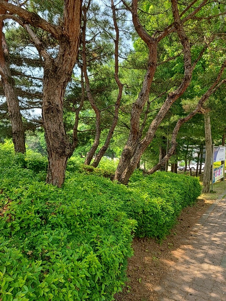 제휴상품평 포토리뷰 더보기