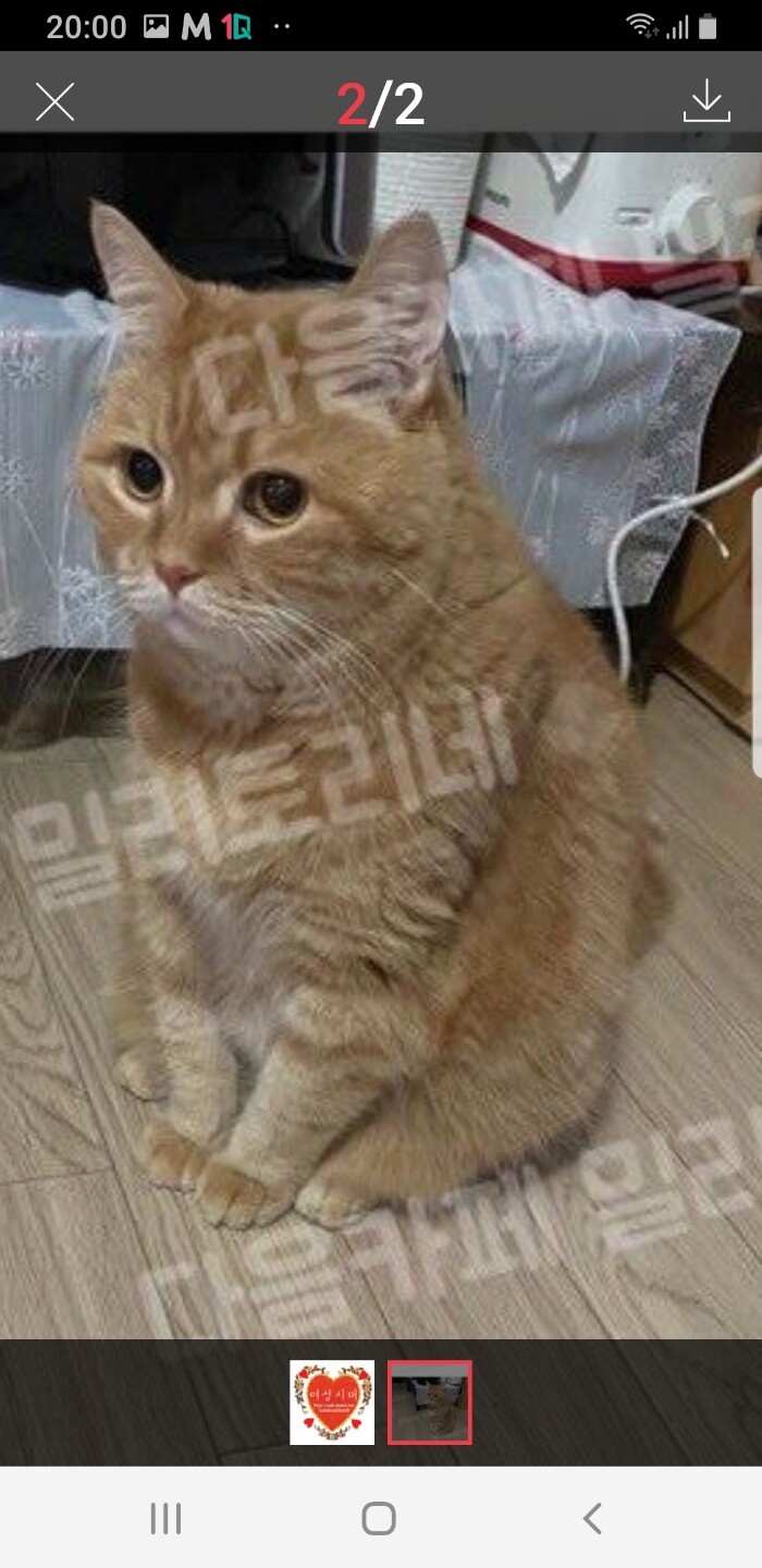 상품후기 썸네일 이미지