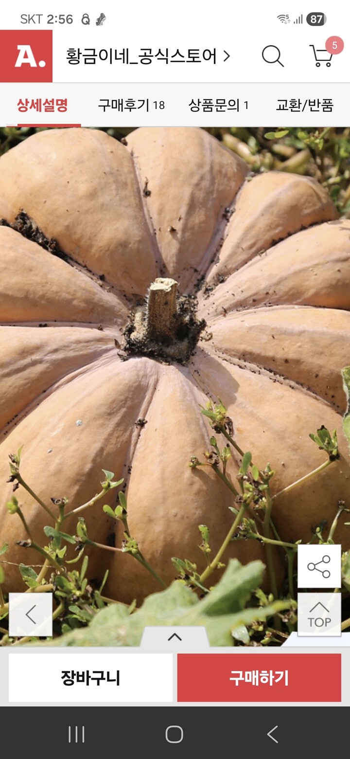 상품후기 썸네일 이미지