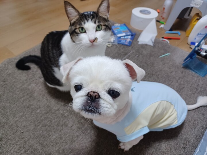 상품후기 썸네일 이미지