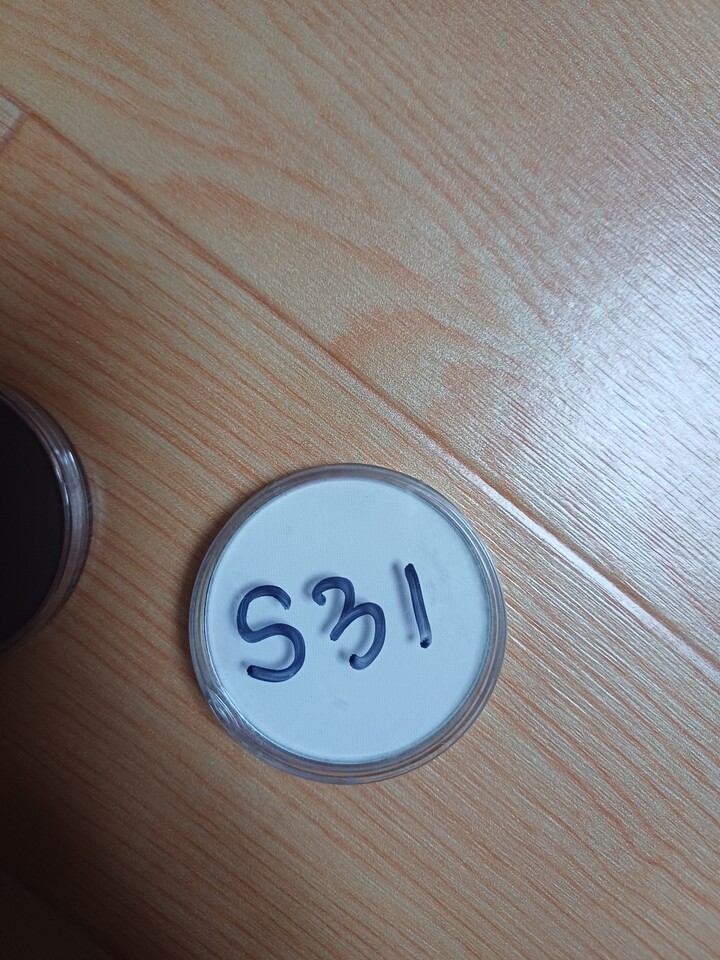 Sergo Cushion Eyeshadow 3g