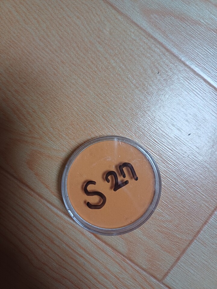 Sergo Cushion Eyeshadow 3g