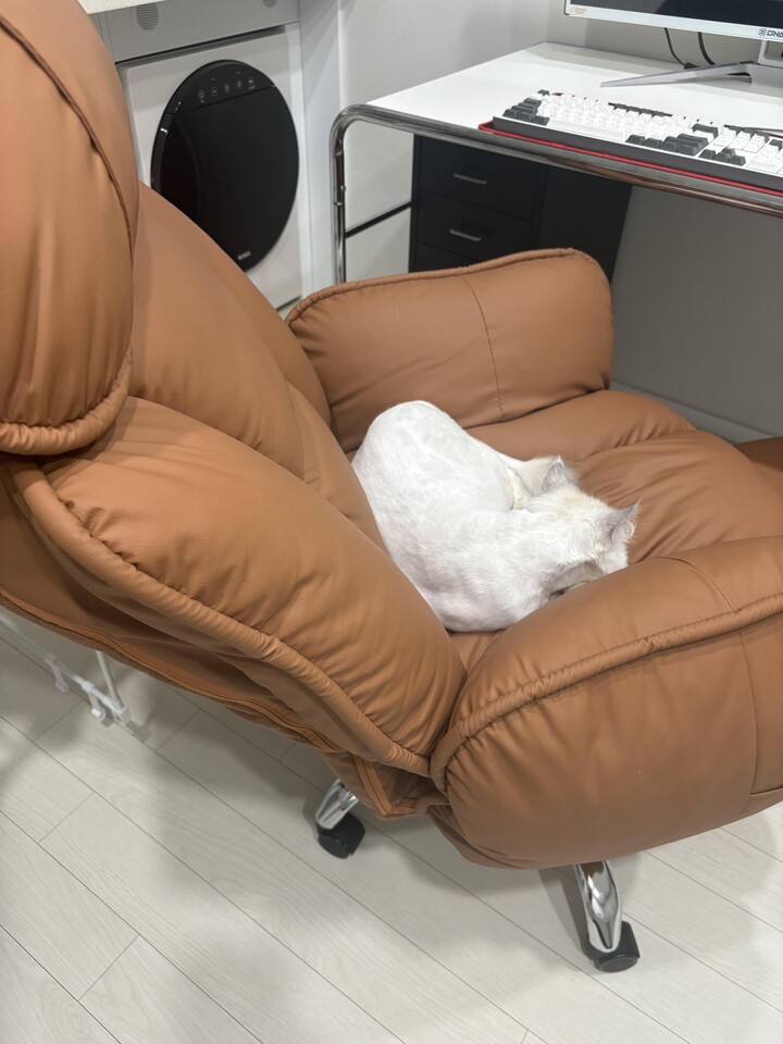 제휴상품평 포토리뷰 이미지