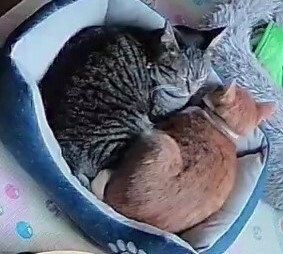 제휴상품평 포토리뷰 이미지